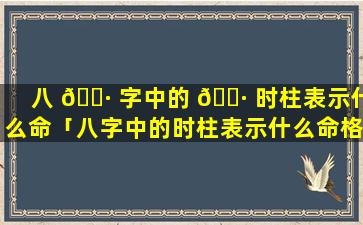 八 🕷 字中的 🌷 时柱表示什么命「八字中的时柱表示什么命格」